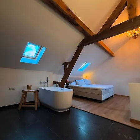 Hoeve Berghof 5* Χέερλεν